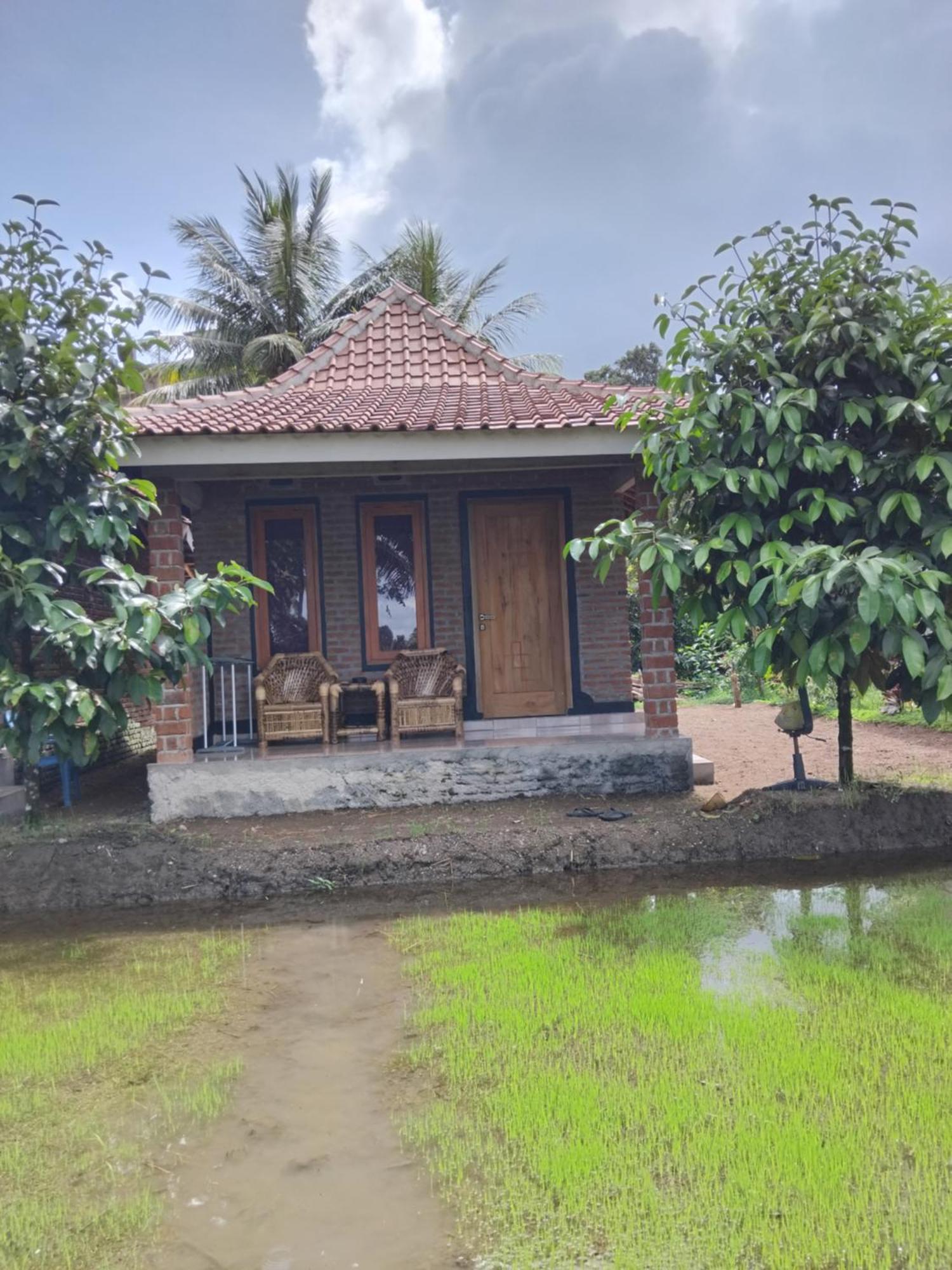 Tereng Wilis Bungalows Tetebatu Luaran gambar