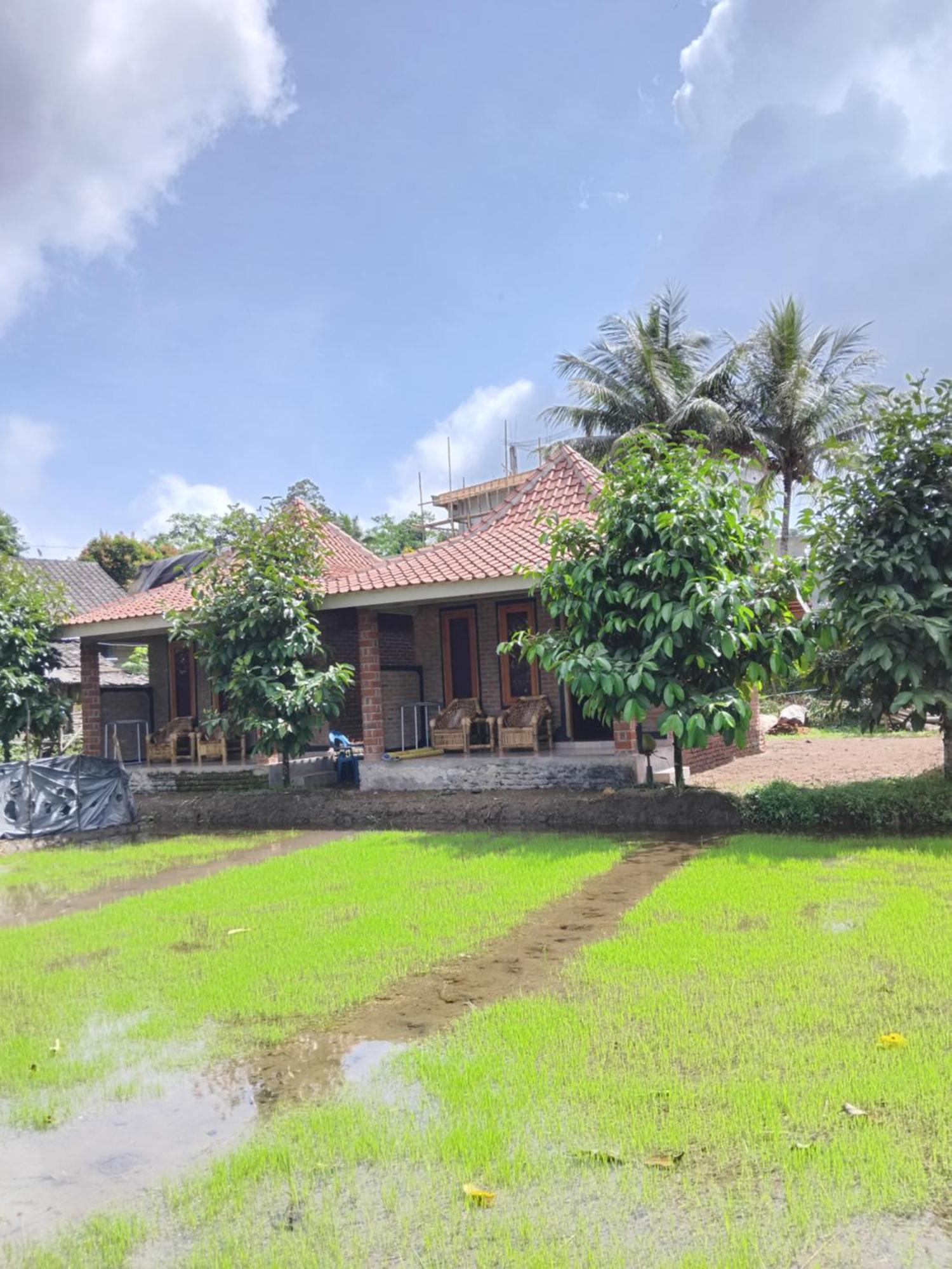 Tereng Wilis Bungalows Tetebatu Luaran gambar