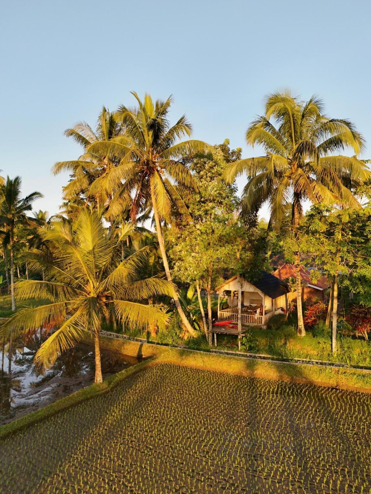 Tereng Wilis Bungalows Tetebatu Luaran gambar