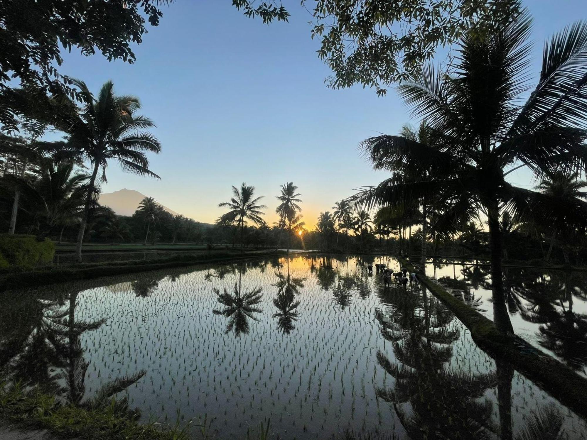 Tereng Wilis Bungalows Tetebatu Luaran gambar