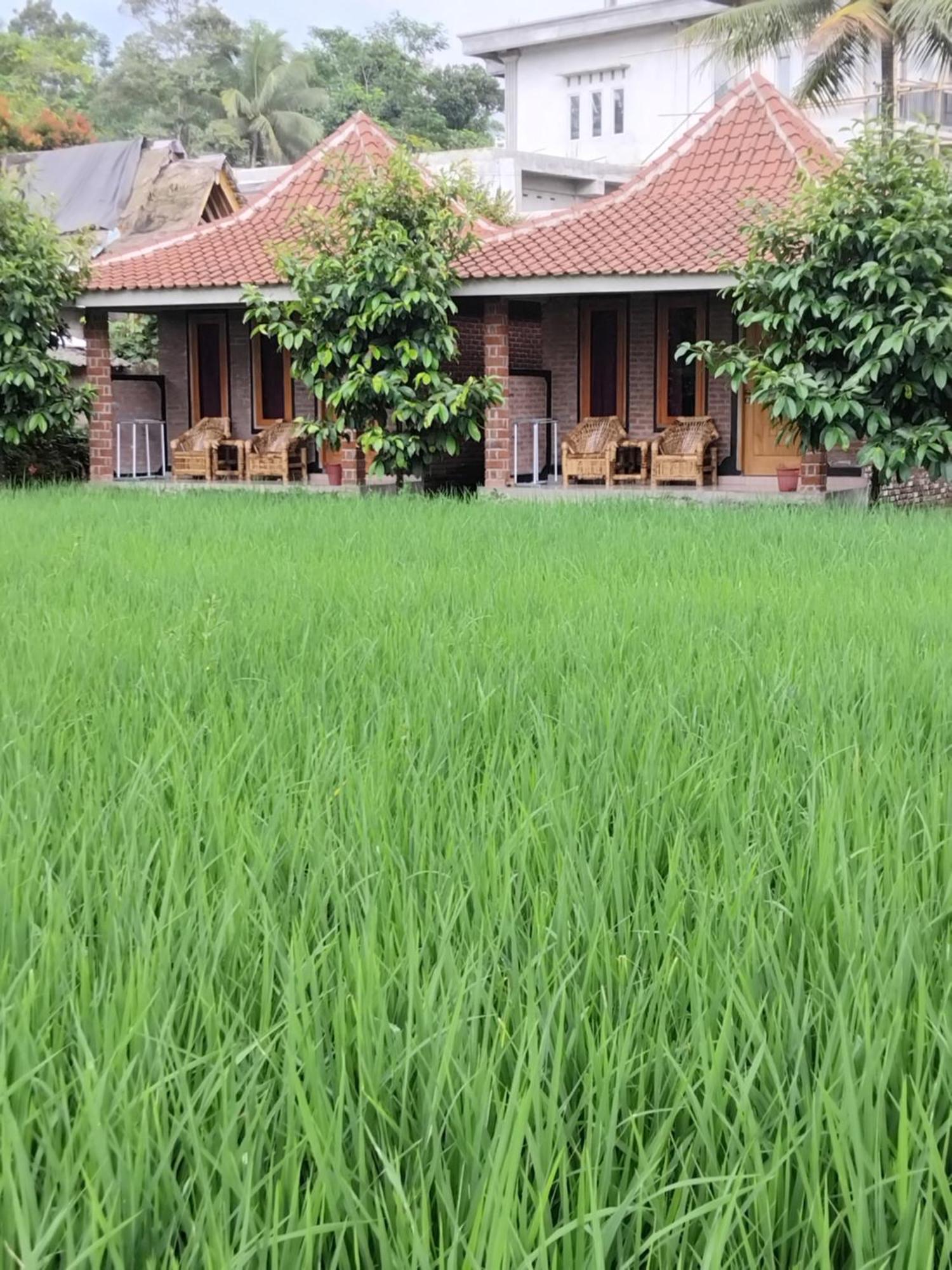 Tereng Wilis Bungalows Tetebatu Luaran gambar