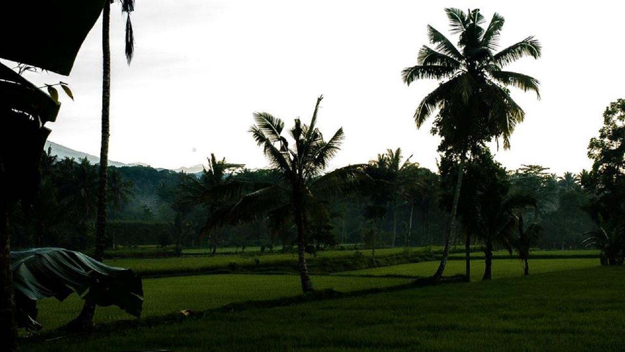 Tereng Wilis Bungalows Tetebatu Luaran gambar