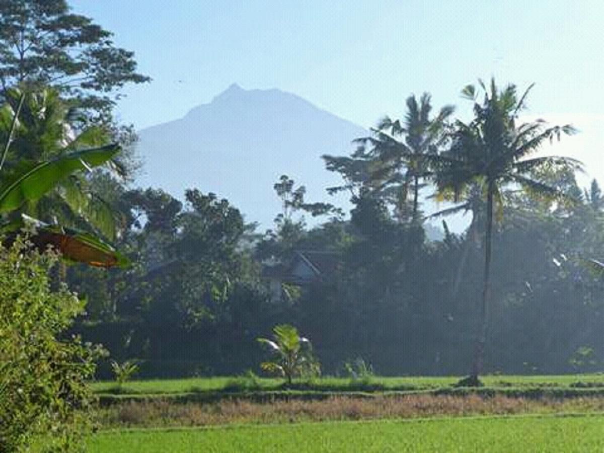 Tereng Wilis Bungalows Tetebatu Luaran gambar