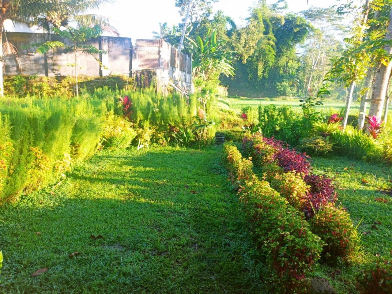 Tereng Wilis Bungalows Tetebatu Luaran gambar