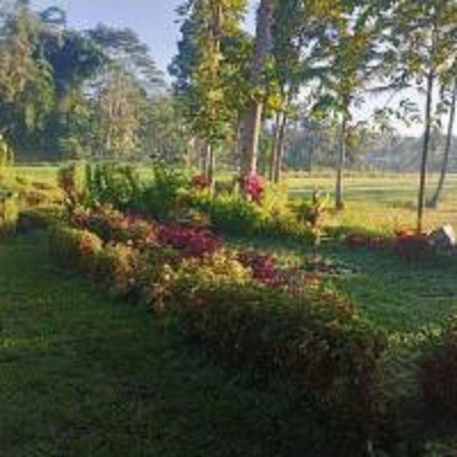 Tereng Wilis Bungalows Tetebatu Luaran gambar